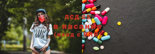 прущие грибы Володарск