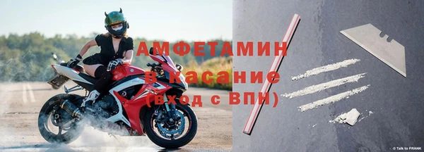 прущие грибы Володарск