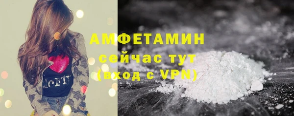 прущие грибы Володарск