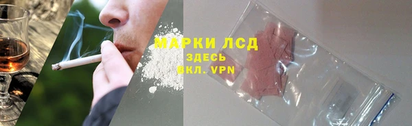 прущие грибы Володарск
