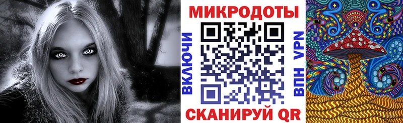 Псилоцибиновые грибы Psilocybe  Будённовск 